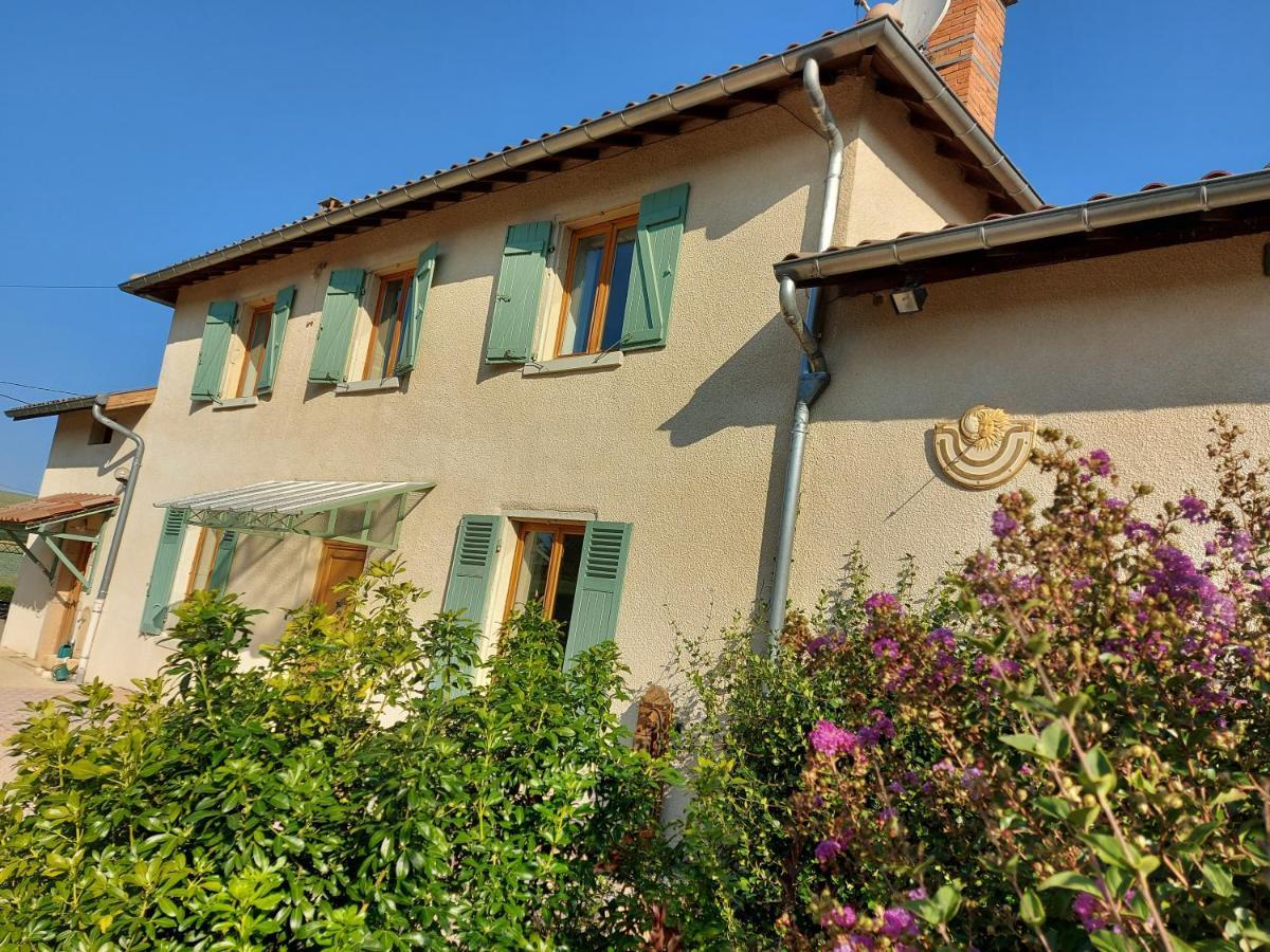 Le Moulin De L'Etang Hotel Chaneins Exterior photo