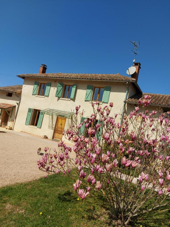 Le Moulin De L'Etang Hotel Chaneins Exterior photo